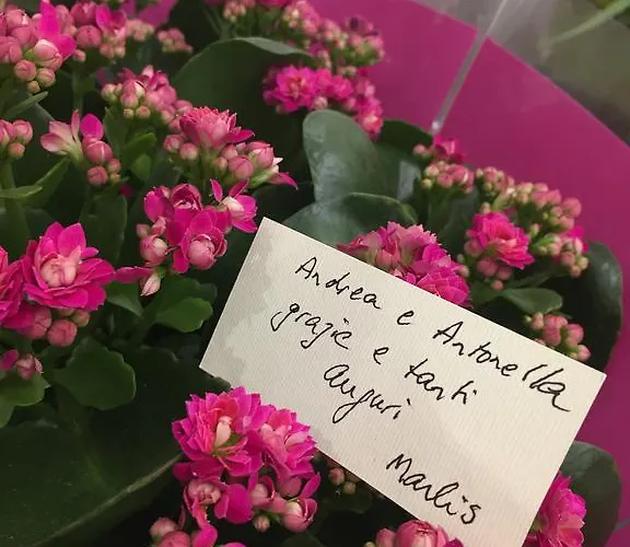 B&B 라 비 앙 로즈 살레르노