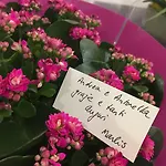 Nocleg ze śniadaniem La Vie En Rose Salerno